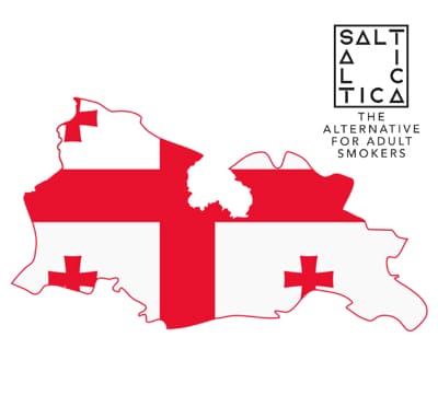 https://www.saltica.co.uk/wp-content/uploads/2023/05/saltica-georgia-maps.jpg