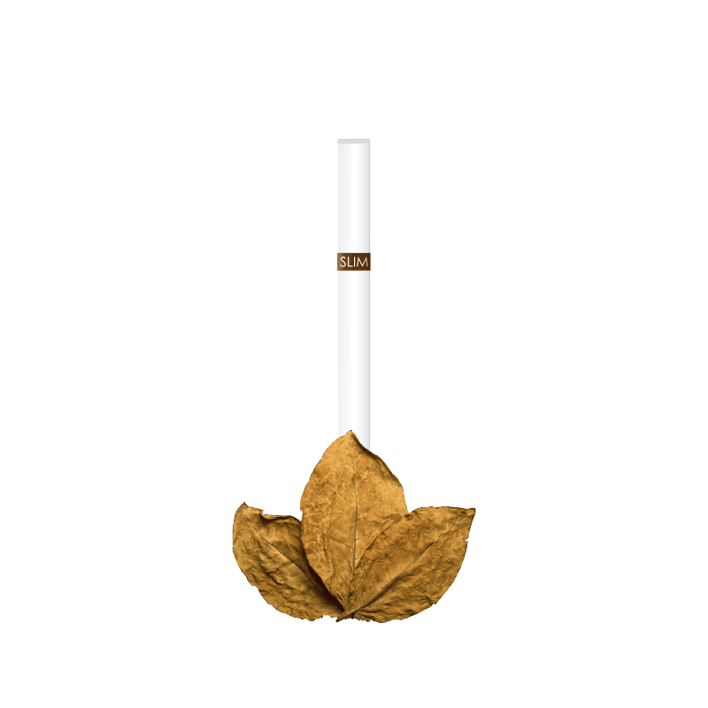 https://www.saltica.co.uk/wp-content/uploads/2023/12/Saltica-GR-Slim-American-Tobacco-2.png