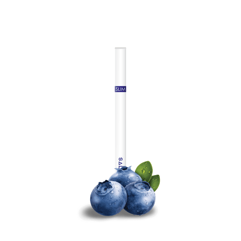 https://www.saltica.co.uk/wp-content/uploads/2023/12/Saltica-GR-Slim-Blueberry-2.png