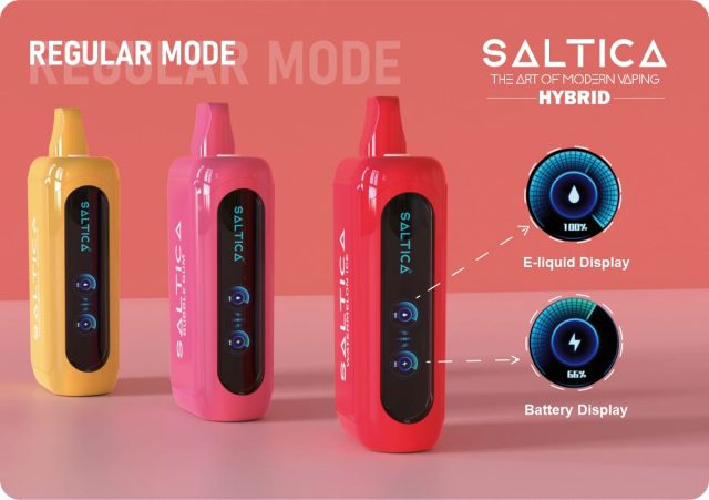 Saltica Saltica Hybrid Bubble Gum - SALTICA