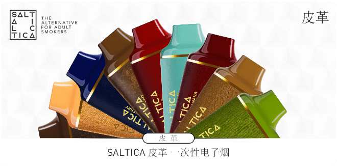 https://www.saltica.co.uk/wp-content/uploads/2023/12/saltica-leather-ban-zh.png